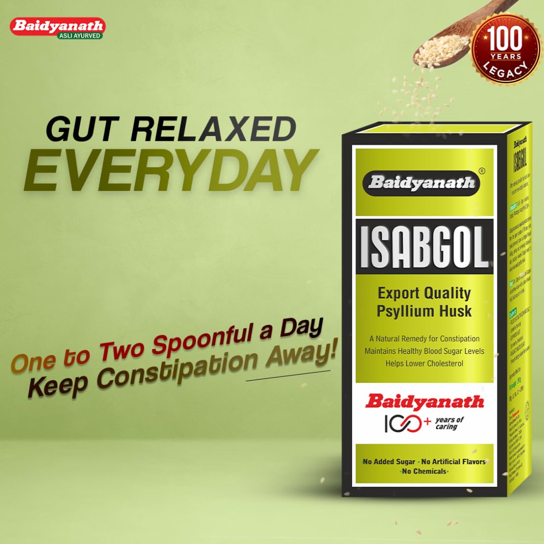 Baidyanath Isabgol - Psyllium Husk Powder - 100gm | Effectively Relieves Constipation | Fibre Supplement For Digestion