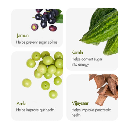 Dia Free 2X Tablets,30 Tablets | Single Dose Daily | Helps Manage Sugar Levels With Karela, Jamun, Gudmar & 3 More | 1 Month Pack