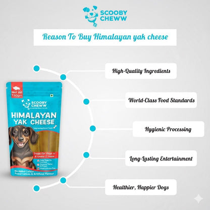 Himalayan Yak Cheese Stick -A Scooby Cheww Product,100% Veg And Natural Yak Chew,Protein & Calcium Rich Dental Hygiene Dog Treat (300Grams),All Life Stages