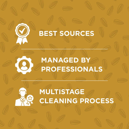 Zoff Whole Cumin Seeds Jeera 200gm - 100% Natural & Fresh - Hygienically Packed, Rich Aroma & Flavor - Nutrient-Rich Spice for Indian Cooking