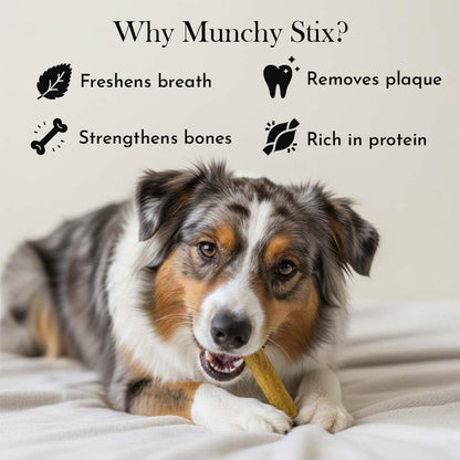 PETS EMPIRE Munchy Stix Dog Treats, Chicken | Mutton Flavour Chew Sticks | Healthy Reward Treats for Dogs | High Protein Daily Chews (1Kg, Chicken, Pack of 1)