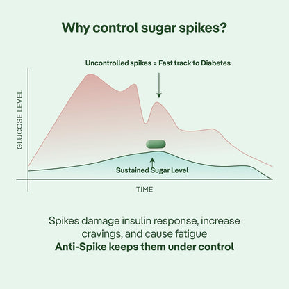 three60+ Gluco Anti-Spike Tablets | Sugar Control Tablet for Prediabetics | 14-Hour Sustained Release | Clinically Proven Diabetic Care Tablets & Supplements | Natural, Gluten Free, Non-GMO | 30 Tablets