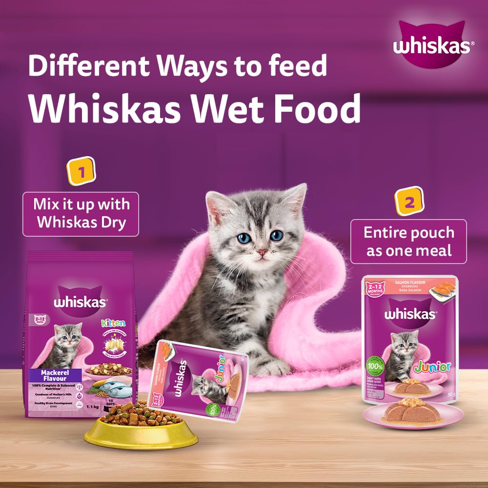 Whiskas Junior Kitten (2-12 Months) Wet Cat Food, Salmon in Jelly Flavour, 80 g, Hydrating Food Made with Real Fish, 100% Complete & Balanced Nutrition for Kittens