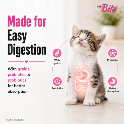 Let's Bite Active Kitten Dry Cat Food, 400 gm Pack