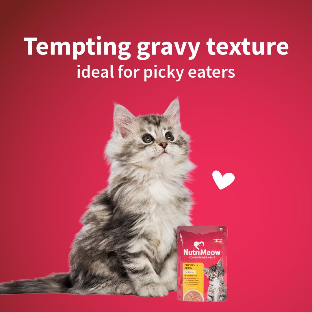 NutriMeow Chicken in Gravy Wet Kitten Food - 80gm | Protein-Packed, Healthy & Tasty Cat Pouch | Complete & Balanced Nutrition for Growing Kittens | Suitable for Persian & All Cat Breeds
