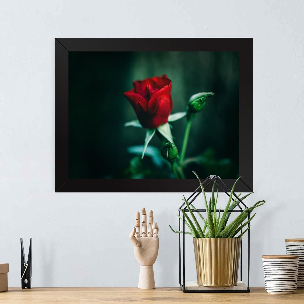 Printed Photo Frame Matte Painting for Home Office Studio Living Room Decoration (17x11inch Black Framed) - Single Red
