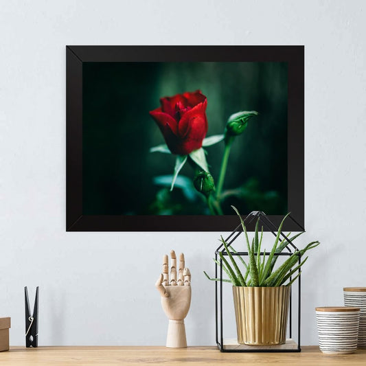 Printed Photo Frame Matte Painting for Home Office Studio Living Room Decoration (17x11inch Black Framed) - Single Red