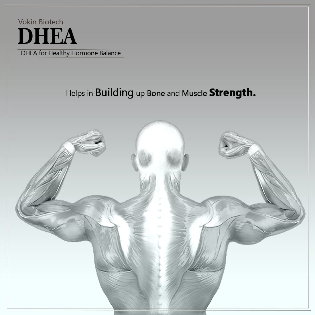 Advertisement for Vokin Biotech DHEA showing a muscular figure with text about hormone balance and muscle strength.