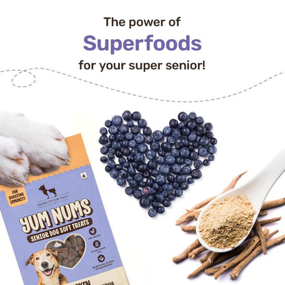 Yum Nums by HUFT Soft & Chewy Sticks - 70 gm | Chicken,Blueberries & Ashwagandha | for Senior Dog | High in Proteins | Gluten & Grain Free | Salt & Sugar Free | No Artificial Colours