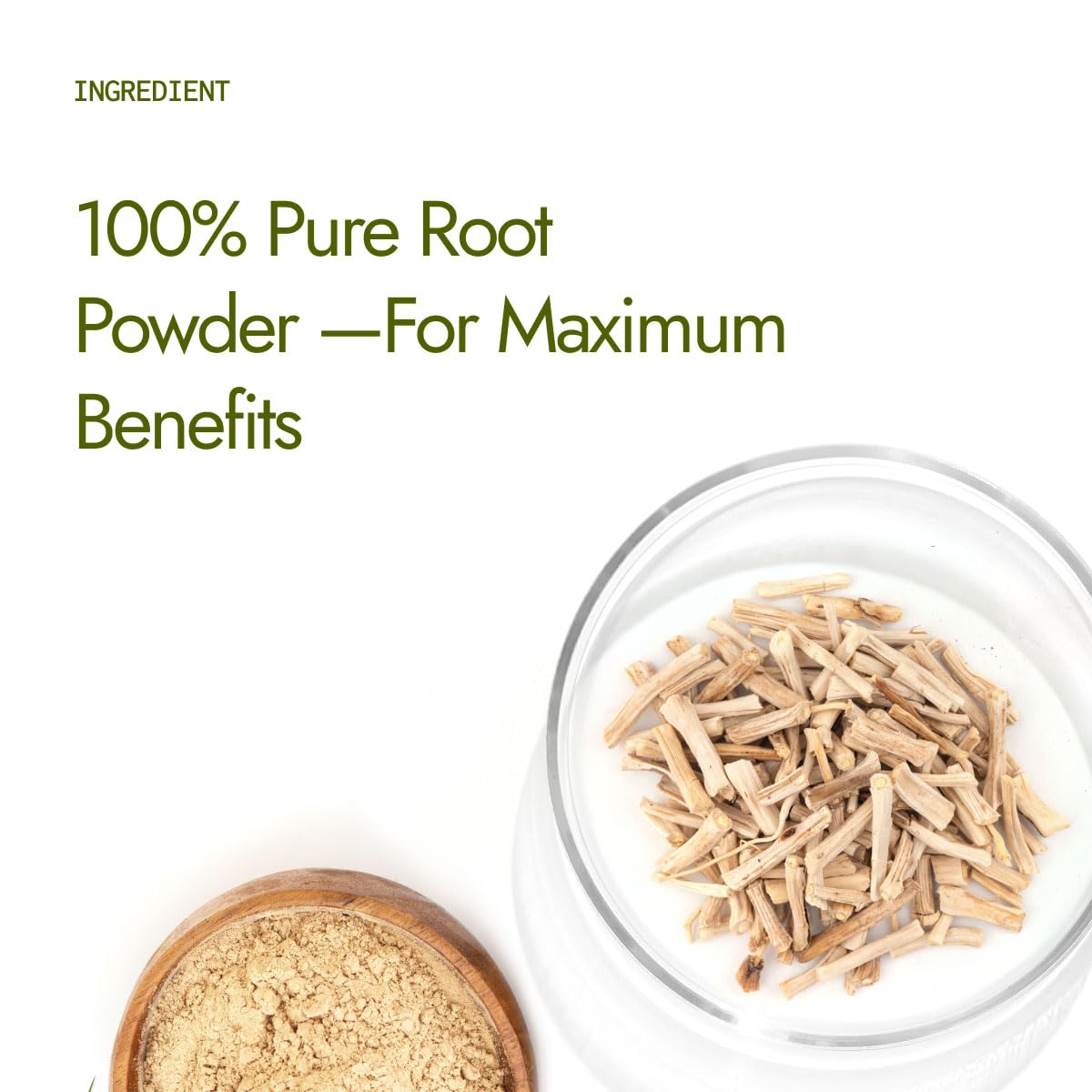 Kapiva Organic Shatavari Powder 100gms | Promotes Lactation Naturally | Helps Maintain Hormonal Balance | Non GMO Certified