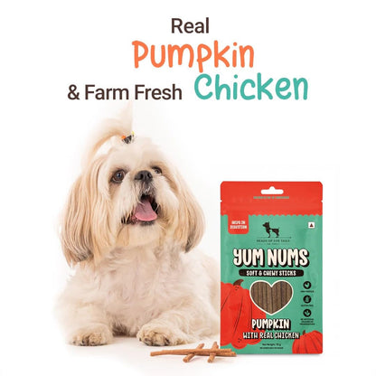 Yum Nums by HUFT Soft & Chewy Sticks - 70 gm | Pumpkin with Chicken | Dog & Puppy Treats | Training Snacks for Small & Adult Dogs | High-Protein, Healthy Dog Treats