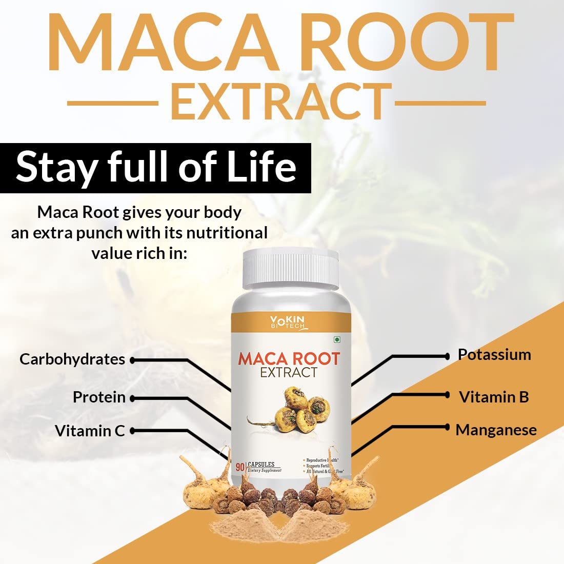 Maca root extract supplement bottle with nutritional benefits on a white background