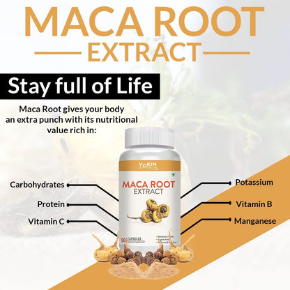 Maca root extract supplement bottle with nutritional benefits on a white background