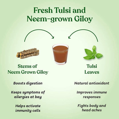 Kapiva Wild Tulsi Giloy Juice | Fresh Tulsi and Neem-grown Giloy to Support Immune Health