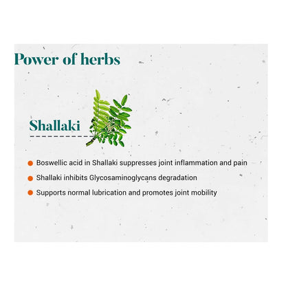 Information card about Shallaki with text and a plant illustration on a white background