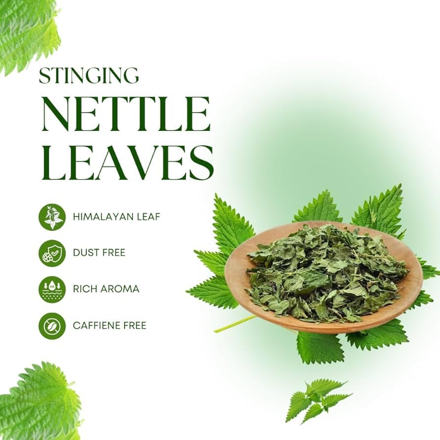 Dried stinging nettle leaves in a wooden bowl with leaf graphics and text on a light green background.