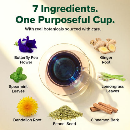 VAHDAM Lean & Fit Herbal Infusion | Helps Manage Body Fat | Powered by Blue Pea, Ginger & Cinnamon | Caffeine Free | Plant-Based | No Added Sugar | 30 Tea Bags