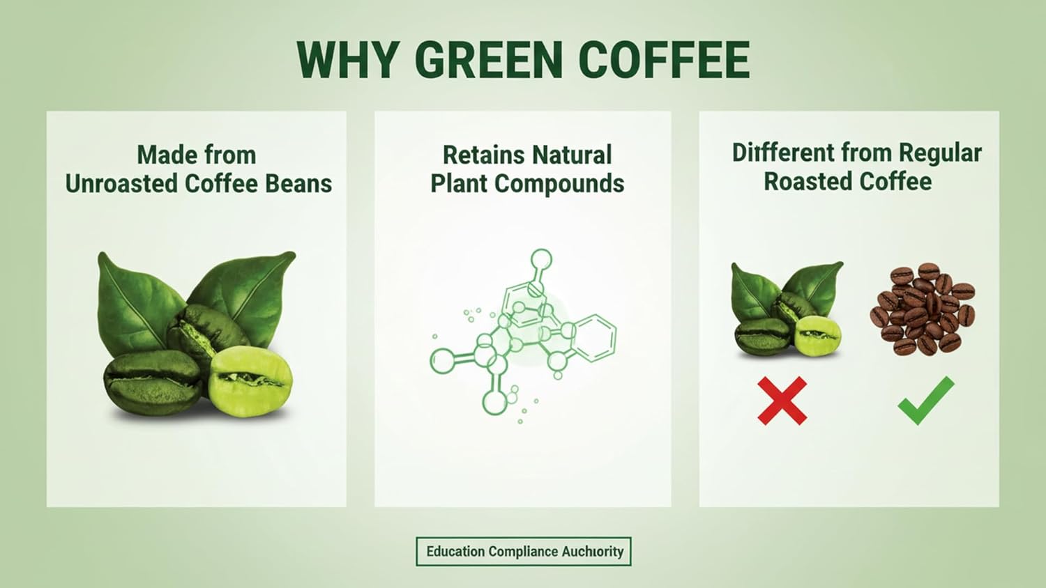 Infographic explaining why green coffee is made from unroasted coffee beans, retains natural plant compounds, and differs from regular roasted coffee.