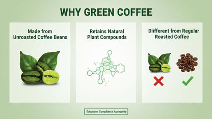 Infographic explaining why green coffee is made from unroasted coffee beans, retains natural plant compounds, and differs from regular roasted coffee.