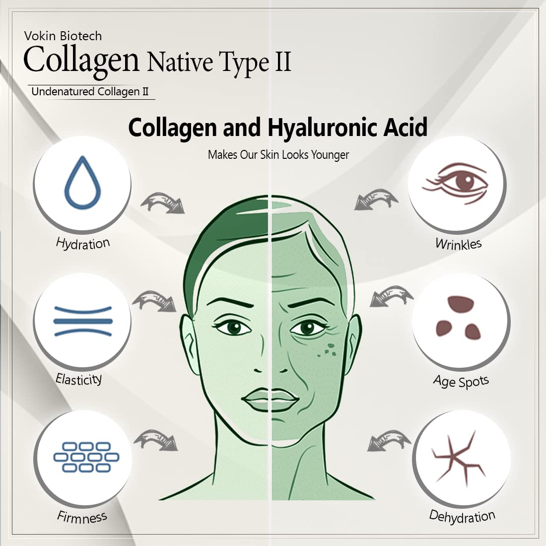 Diagram of Collagen Native Type II and its effects on skin with icons for hydration, wrinkles, age spots, elasticity, and firmness.