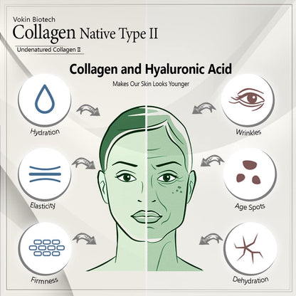 Diagram of Collagen Native Type II and its effects on skin with icons for hydration, wrinkles, age spots, elasticity, and firmness.