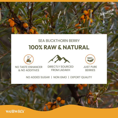 Wellwith Sea Buckthorn Berry AO Shots (150ml,15 Sachet), Pack of 1| Daily Antioxidant & Vitamin C Drink | Supports Immunity, Skin Glow & Energy