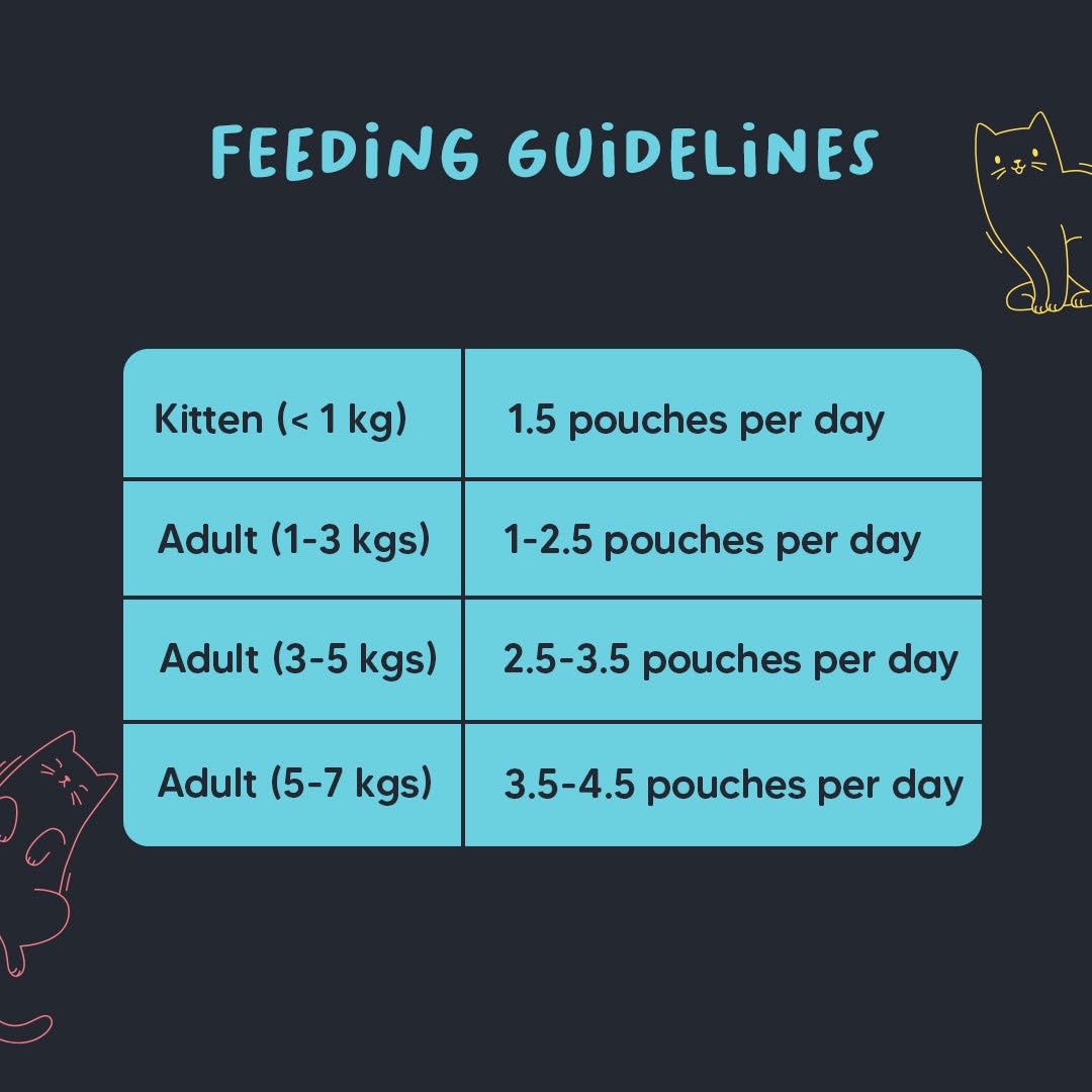 Meowsi by HUFT Tuna & Shrimp in Broth Cat Food - 80 gm | Tender & Juicy Seafood Meal for Persian & All Breeds | Rich in Protein & Omega Fatty Acids | All Breeds