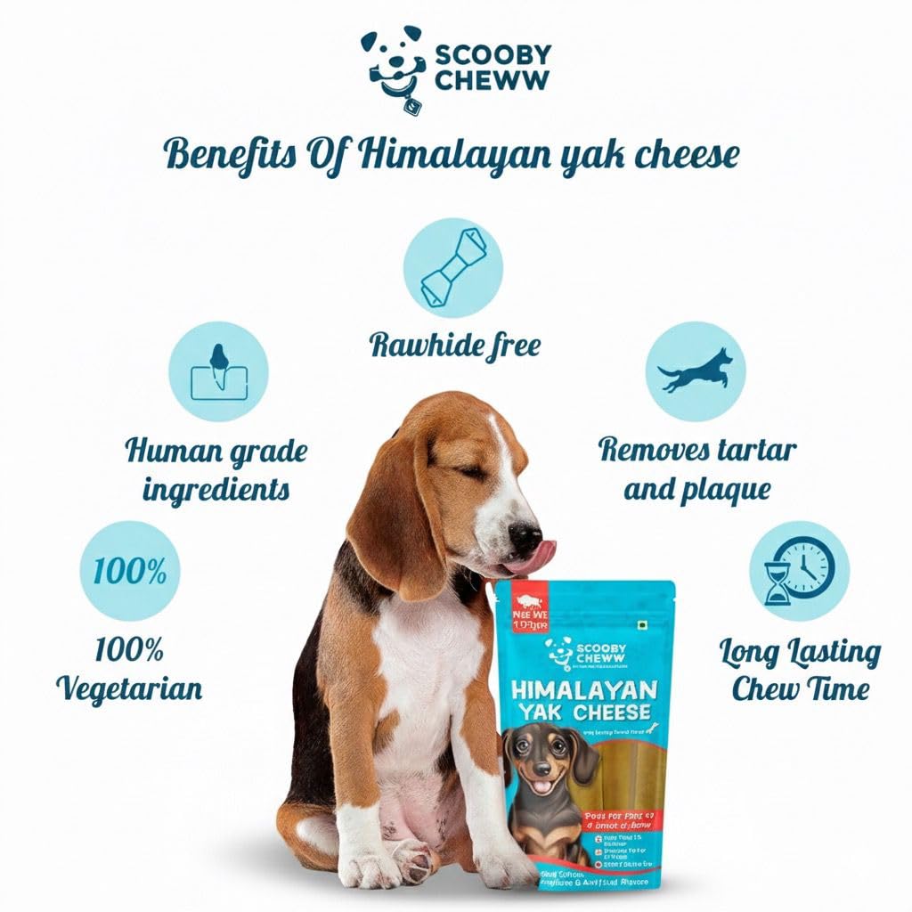 Himalayan Yak Cheese Stick -A Scooby Cheww Product,100% Veg And Natural Yak Chew,Protein & Calcium Rich Dental Hygiene Dog Treat (300Grams),All Life Stages