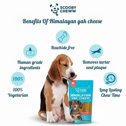 Himalayan Yak Cheese Stick -A Scooby Cheww Product,100% Veg And Natural Yak Chew,Protein & Calcium Rich Dental Hygiene Dog Treat (300Grams),All Life Stages