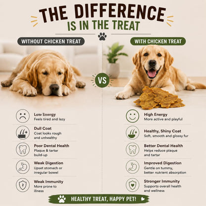 PAWPOURRI Natural Chicken Jerky Dog Treats for All Breeds & Sizes | Daily Use Dog Treats | High Protein Chewy Training & Reward Snacks (Chicken Jerky, Pack of 1) 100gm