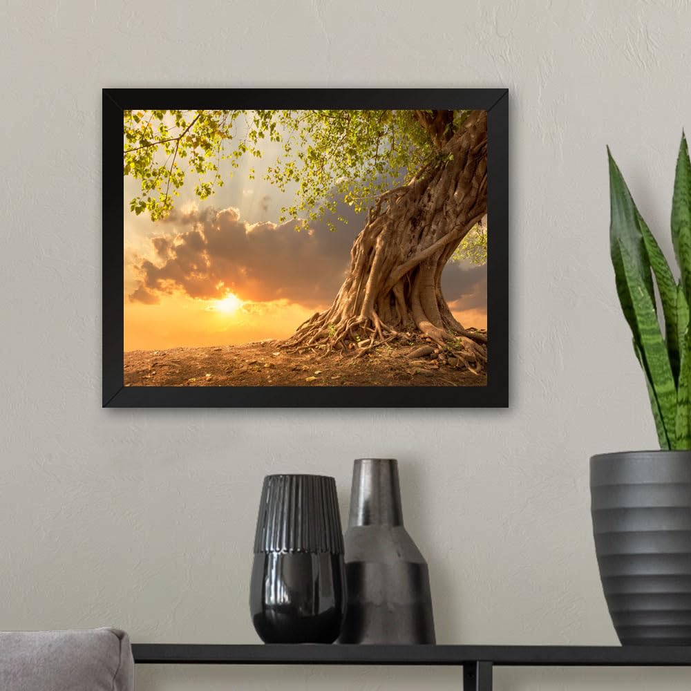 Printed Photo Frame Matte Painting for Home Office Studio Living Room Decoration (11x9inch Black Framed) - Single Tree Sunset