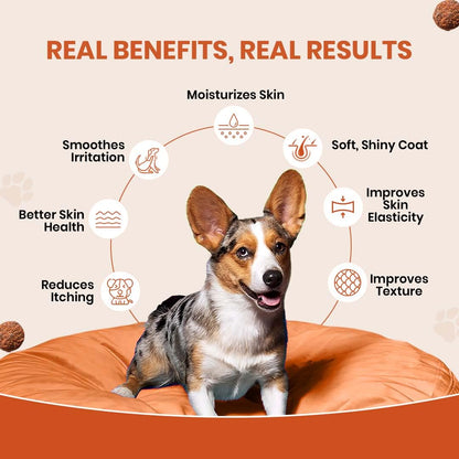 TailsAlive  Omega 3 & 6, Salmon Oil Skin & Coat Supplement for Dogs | with Krill Oil, Biotin, Collagen & Zinc | Promotes Shiny, Healthy Coat | 90 Soft Chews