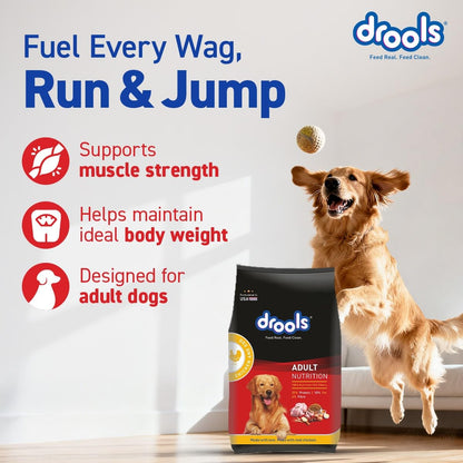 Drools Adult Dry Dog Food 1.2kg | Chicken & Egg Flavour | Omega 3 & 6 for Growth | Better Digestibility | Supports Joint Health