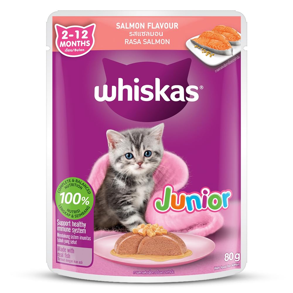 Whiskas Junior Kitten (2-12 Months) Wet Cat Food, Salmon in Jelly Flavour, 80 g, Hydrating Food Made with Real Fish, 100% Complete & Balanced Nutrition for Kittens