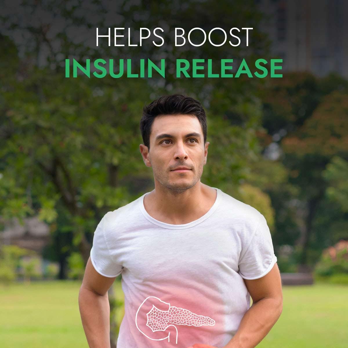 Kapiva Dia Foods Green Tea for Blood Sugar Care | Jamun, Gudmar, Methi, & 10 More