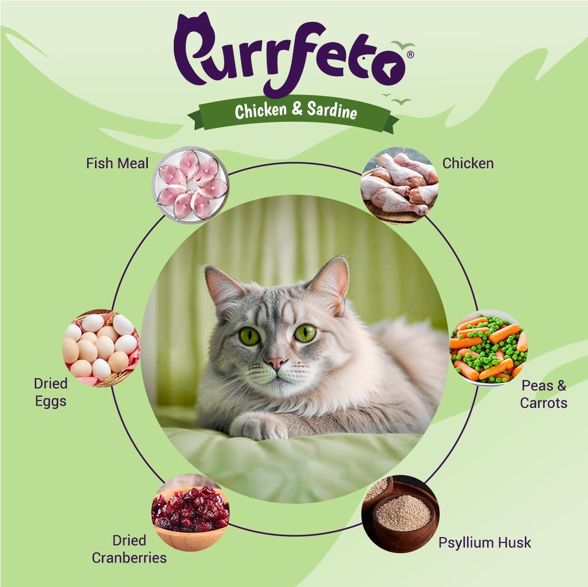 Purrfeto Adult Dry Cat Food | Chicken & Sardine | 1.2 kg |40% Reduction in Urinary Track Diseases |Anti Hairball Formula |Healthy Skin & Coat |Improves Digestive Health