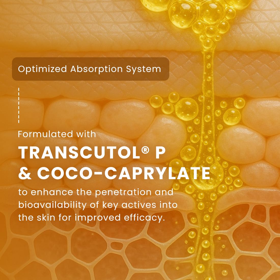Skin texture withTranscutol P & Coco-Caprylate text overlay