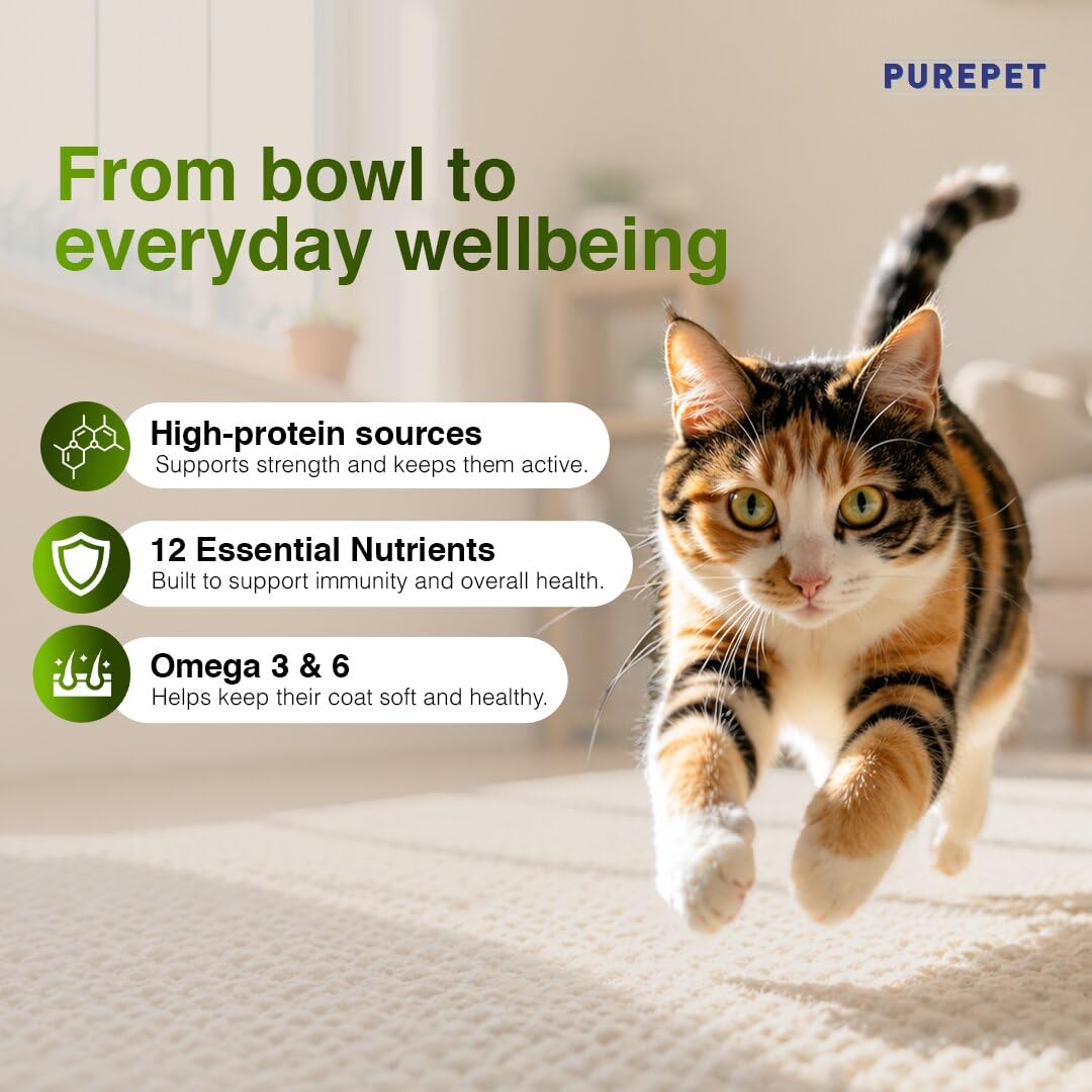 Purepet Adult Dry Cat Food 1kg Pack | Chicken & Vegetable Flavour | Prevents Hairballs | Supports Heart Function | Promotes Skin Wellness | Enriched with Taurine