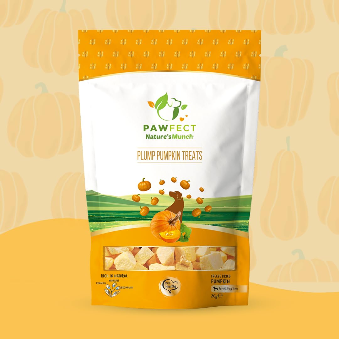 Pawfect Treats Nature's Munch Freeze-Dried Finest Pumpkin Treats for Dogs | Hypoallergenic Dog Treats, Grain-Free | Healthy Dog Treats (20 G),All Life Stages