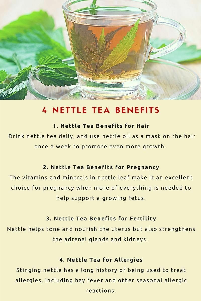 Nettle tea with leaves and a glass cup on a white background, accompanied by text listing benefits.
