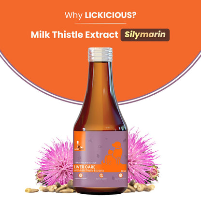 LICKICIOUS Liver Care Syrup for Dogs & Cats 100ml | with Milk Thistle (Silymarin) & Inositol | Supports Liver Health, Detoxification, Digestion & Appetite | Chicken Flavour Supplement/Tonic for Pets
