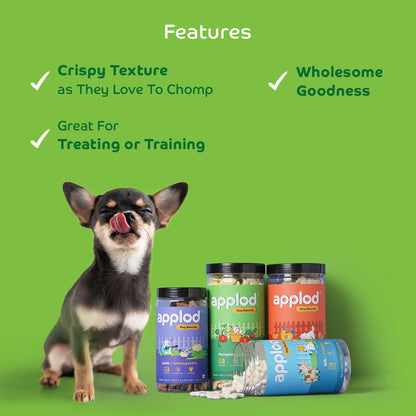 Applod Pumpkin with Turmeric Dog Biscuits for Puppies & Adult Dogs | Oven-Baked Crunchy Dog Treats Made with Real Ingredients | Healthy Training & Reward Snacks | 420g
