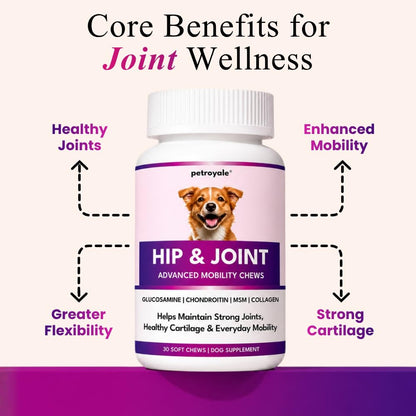 Petroyale Hip & Joint Advanced Mobility Soft Chews for Dogs | Glucosamine, Chondroitin, MSM, Collagen, Hyaluronic Acid, Boswellia & Devil's Claw | Joint Support Supplement | 30 Chews