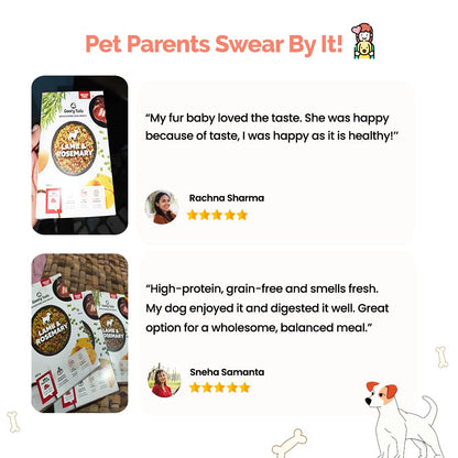 Goofy Tails Lamb & Rosemary Wet Dog Food 100g (100g X 1 Pack) Wholesome, Human Grade, Preservative Free, Grain & Gluten Free, Taste Booster & Food Topper