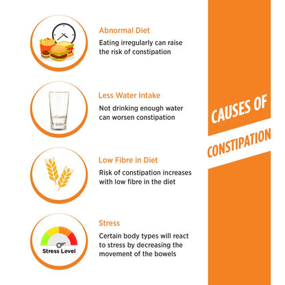 Infographic detailing causes of constipation with icons and text on a white background.
