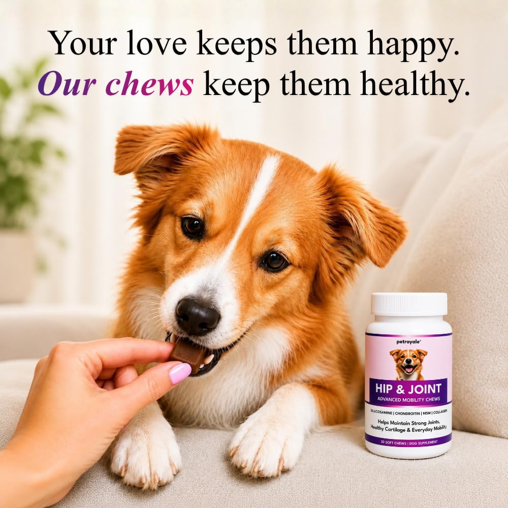 Petroyale Hip & Joint Advanced Mobility Soft Chews for Dogs | Glucosamine, Chondroitin, MSM, Collagen, Hyaluronic Acid, Boswellia & Devil's Claw | Joint Support Supplement | 30 Chews