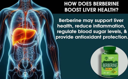 Vruksha Vitals 99% Berberine Extract 1000 mg - 120 tablets/Capsules Powder Supplement