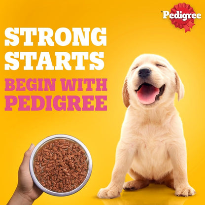 Pedigree Puppy Wet Dog Food, Chicken & Liver Chunks in Gravy, 70 g, Complete & Balanced Meal for Puppies