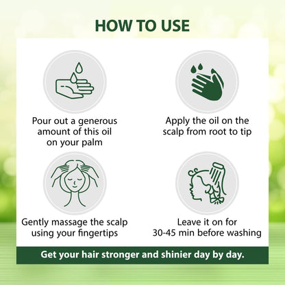 Instructions for using a scalp oil with icons and text on a green background