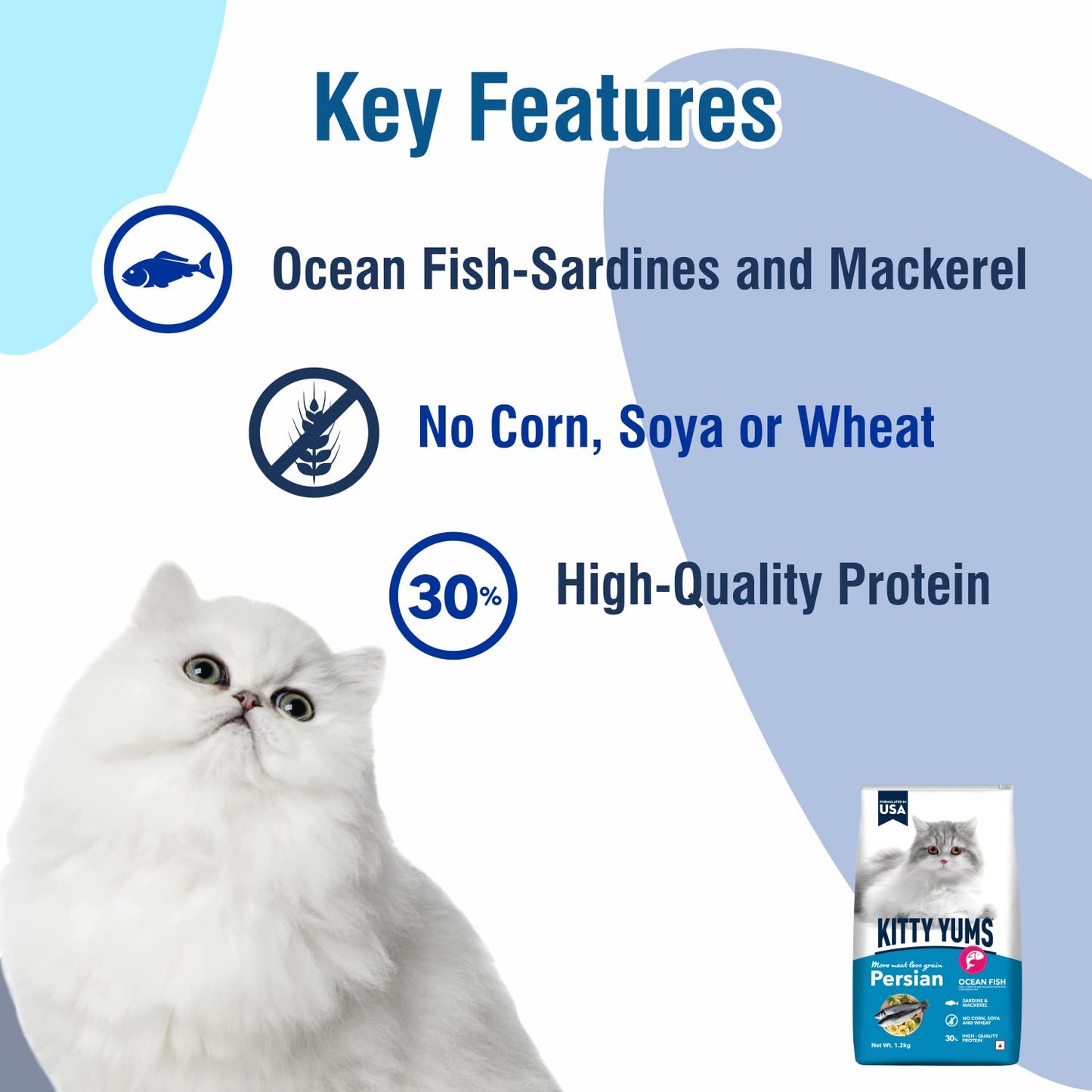 Kitty Yums Adult Persian Dry Cat Food 1.2kg Pack | Ocean Fish Flavour | Develop Strong Bones | Strong Immune System | Strong Vision Development Support Digestive Health